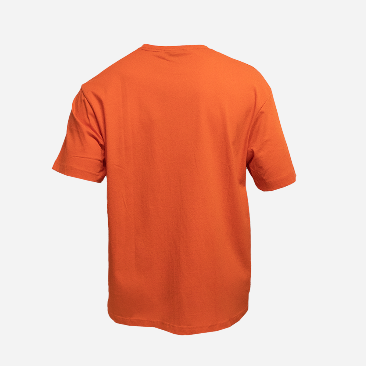 Camiseta hombre U.S: Polo ASSN